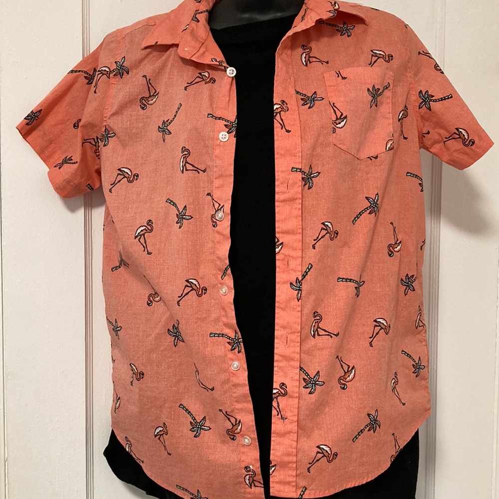 Palm Tree Button Down